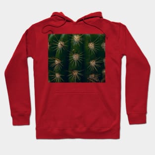 Red cactus Hoodie